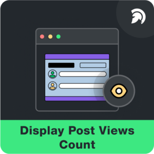 Display Post View Count