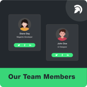 Our Team